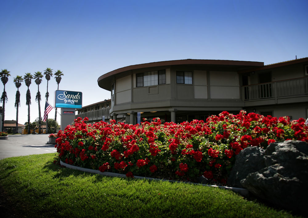 Sands By The Sea Motel San Simeon Extérieur photo